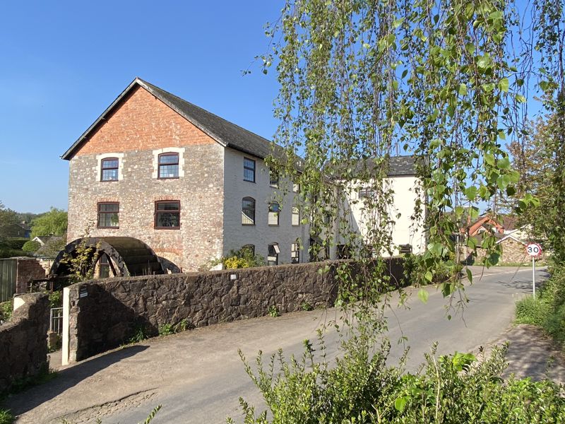Main Image